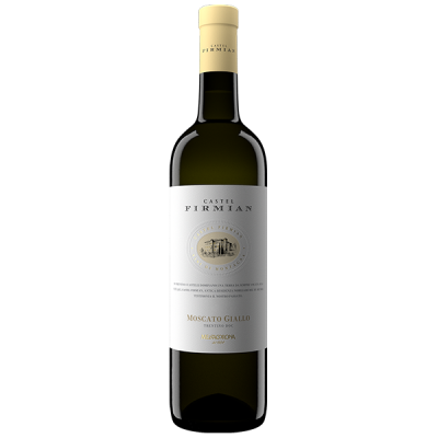 Moscato Giallo 2025